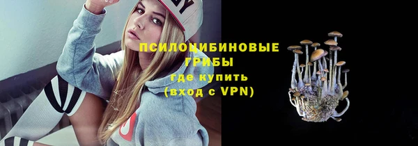 a pvp Каменск-Шахтинский