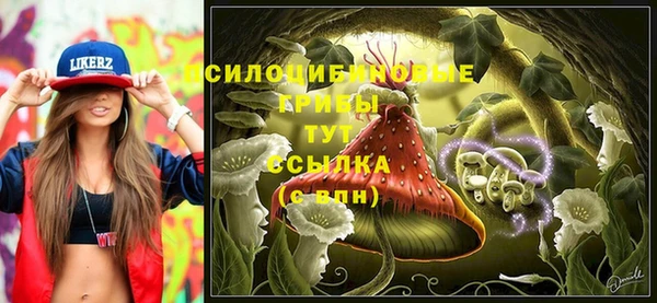a pvp Каменск-Шахтинский